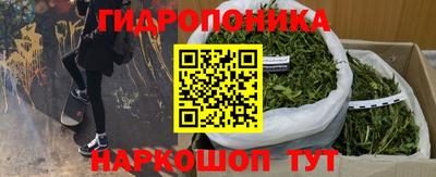 стафф Дмитров