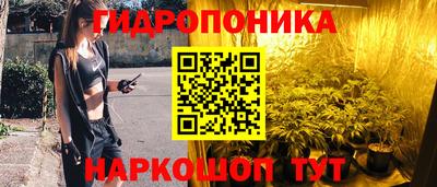 стафф Дмитров