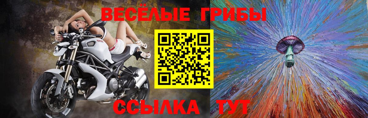 Галлюциногенные грибы Cubensis  Галлюциногенные грибы MAGIC MUSHROOMS  Вход с VPN  Волгоград 